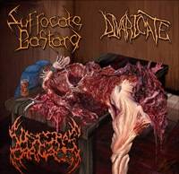 Visceral Carnage (MEX) : Mutilated and Split into Thirds